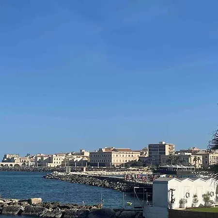 Versortigia Beautiful *