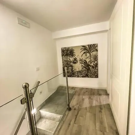 Versortigia Beautiful